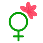 Women’s Health