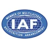 IAF Logo IAF Logo